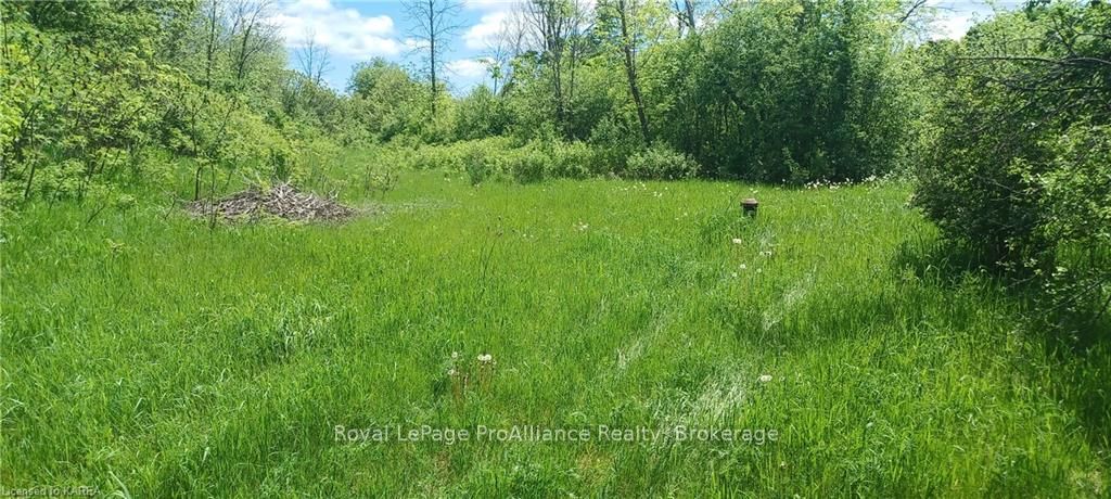 5405 Petworth Road Property Photo 9