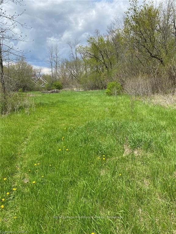 5405 Petworth Road Property Photo 11