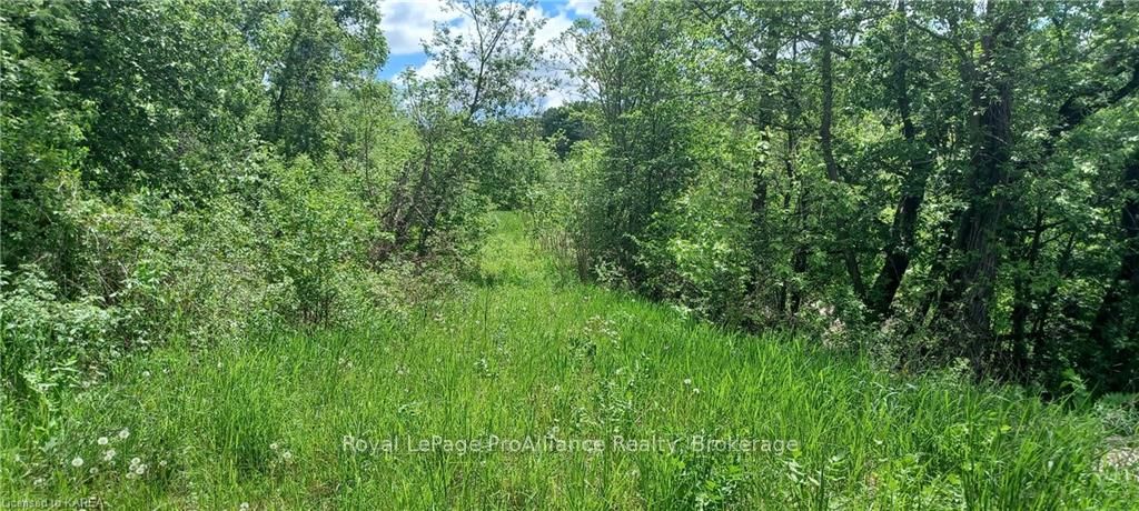 5405 Petworth Road Property Photo 15