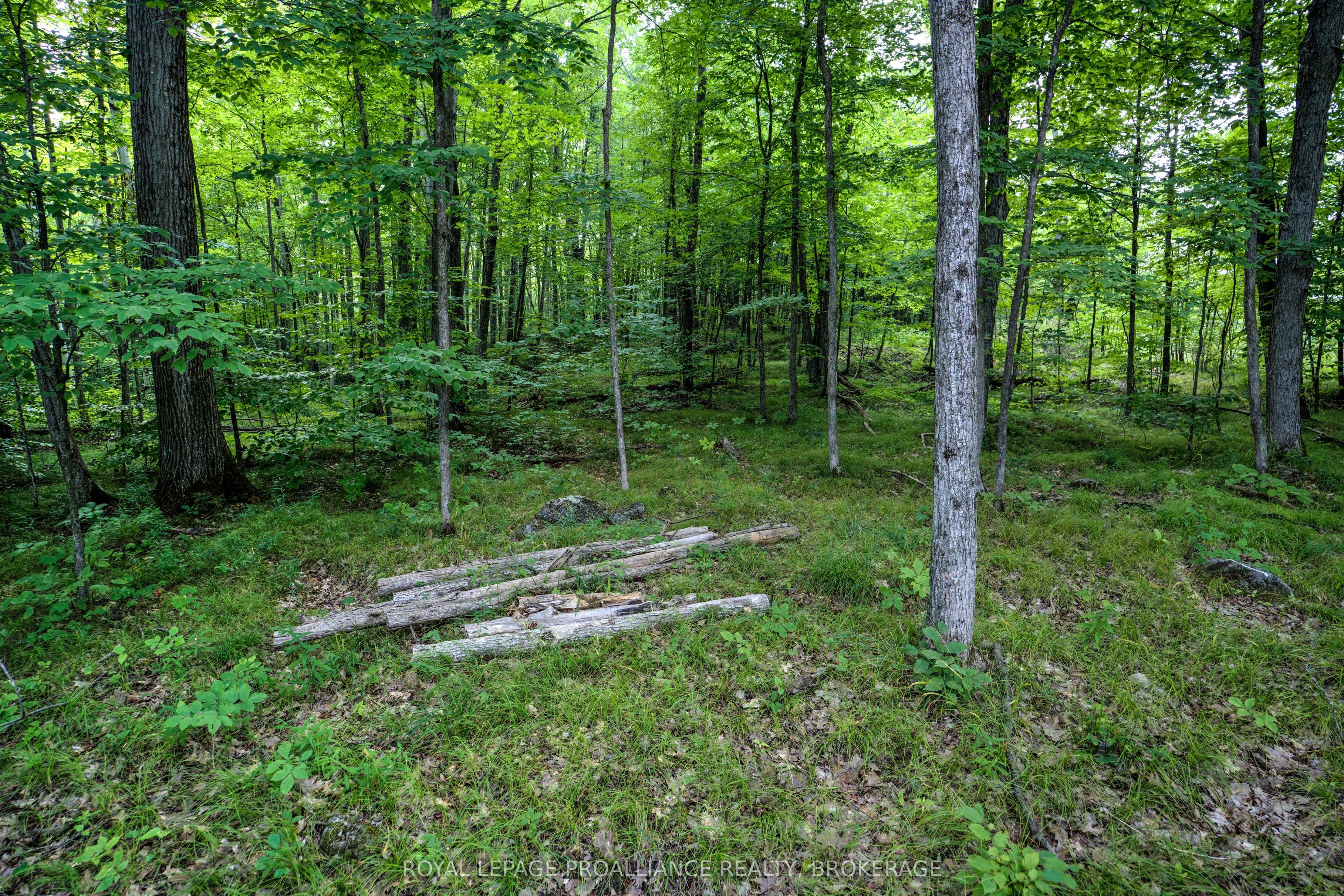 572 Oak Bluffs Road Property Photo 21