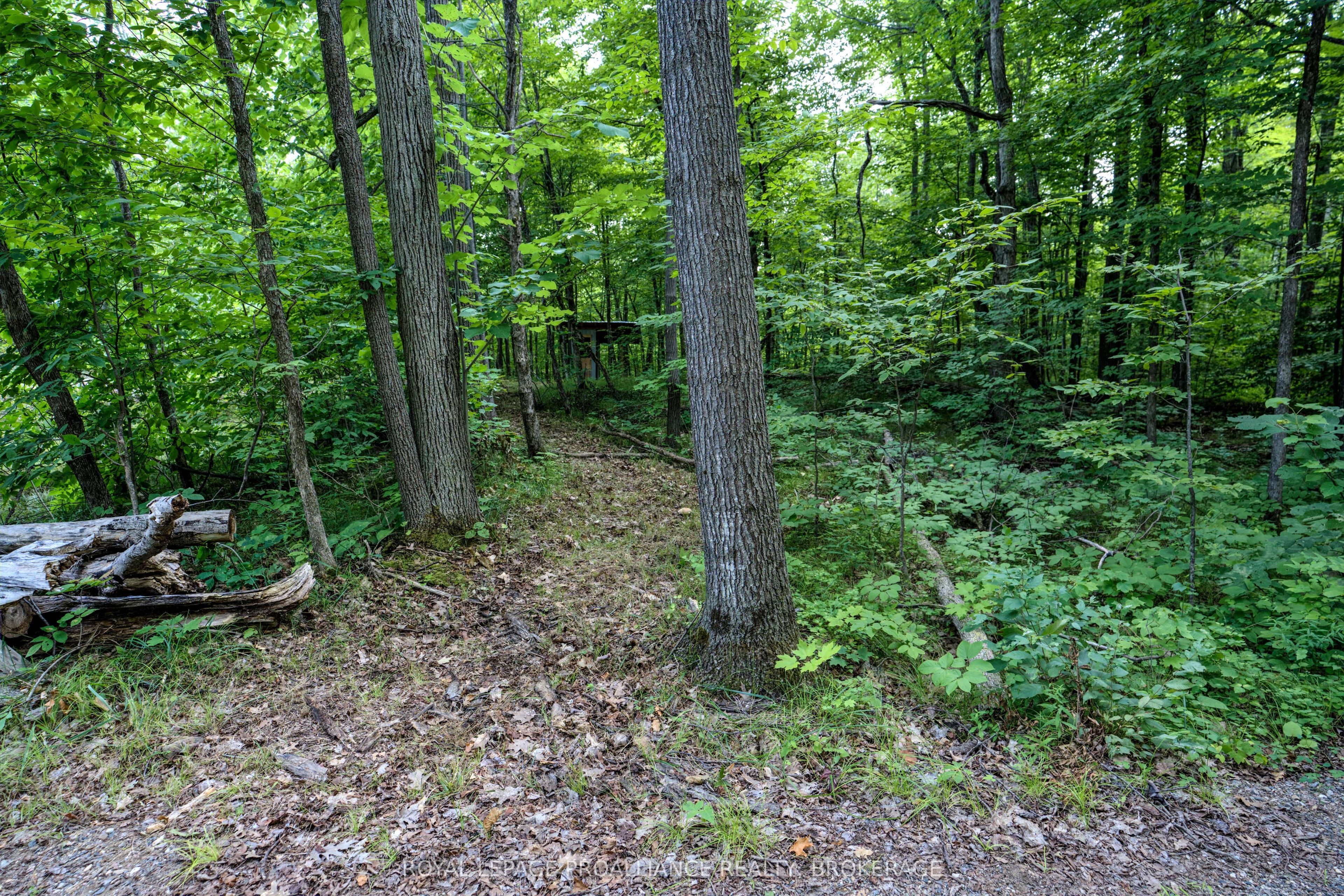 572 Oak Bluffs Road Property Photo 22