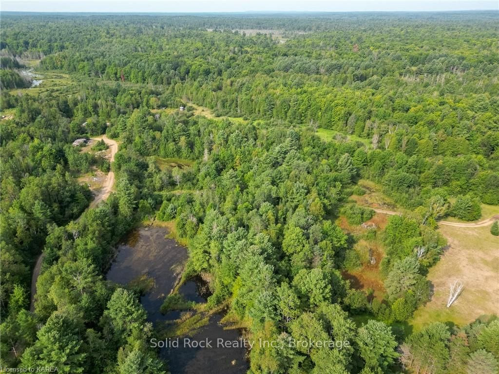 Pt Lt 2 41 Property Photo 5