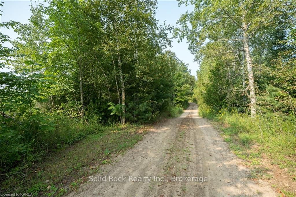 Pt Lt 2 41 Property Photo 17