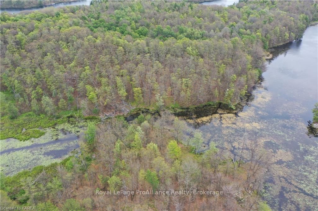 Pt Lt 7 Smiths Bay Lot Property Photo 11