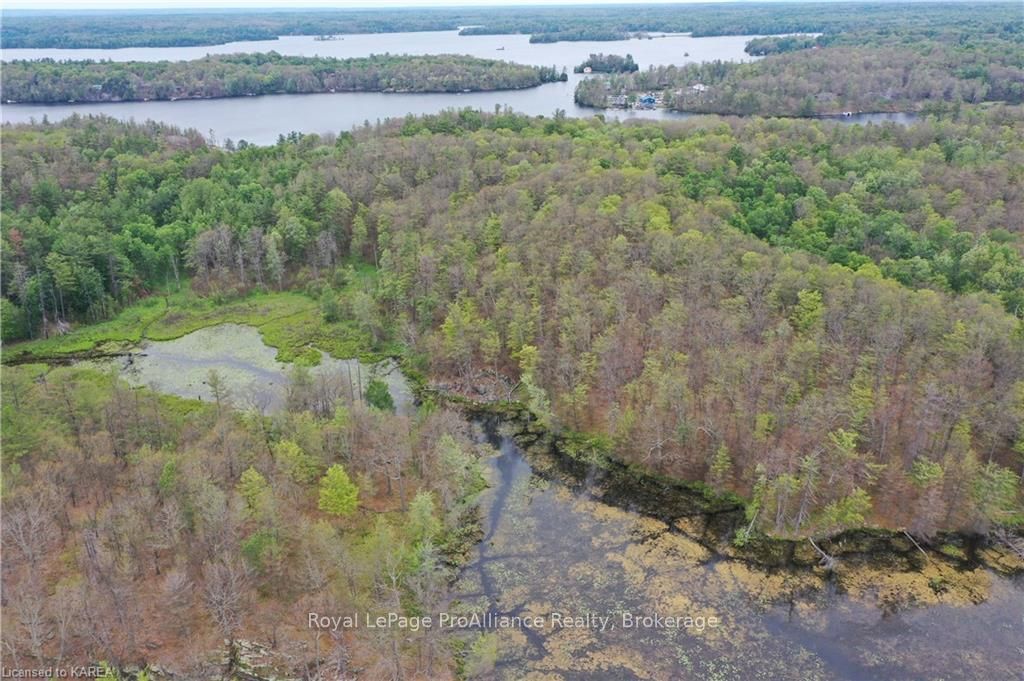 Pt Lt 7 Smiths Bay Lot Property Photo 12