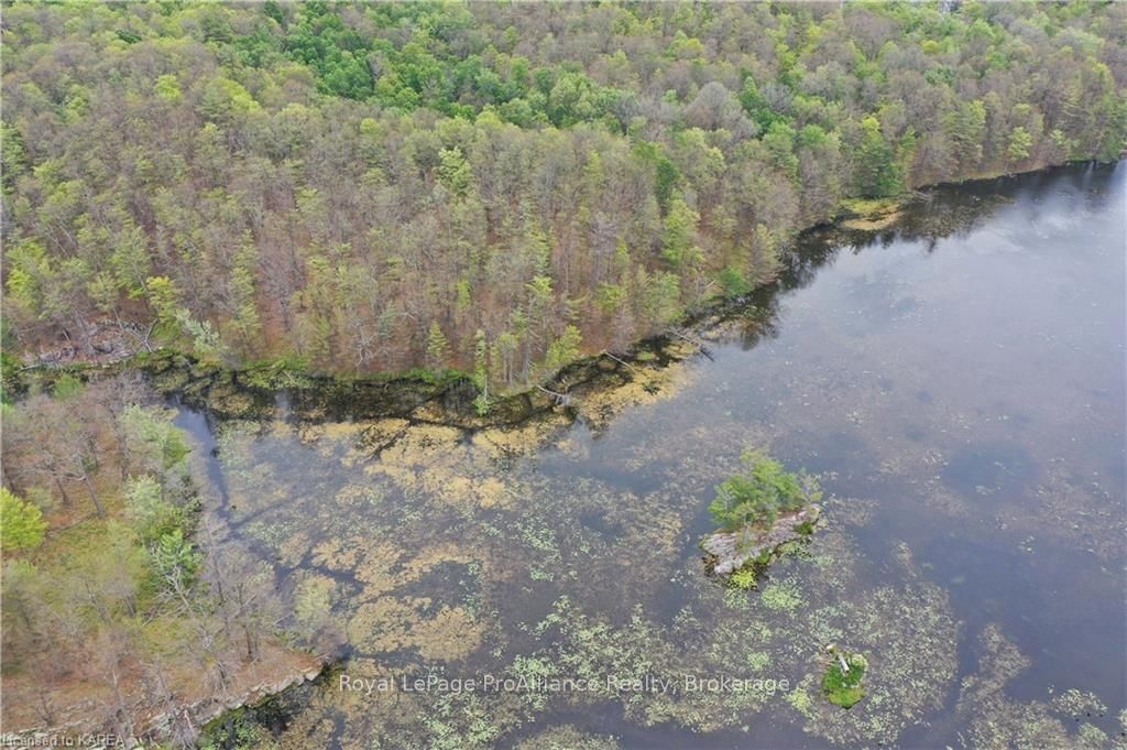 Pt Lt 7 Smiths Bay Lot Property Photo 13