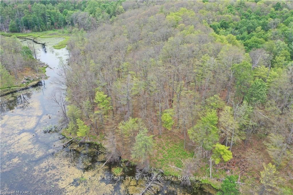 Pt Lt 7 Smiths Bay Lot Property Photo 18