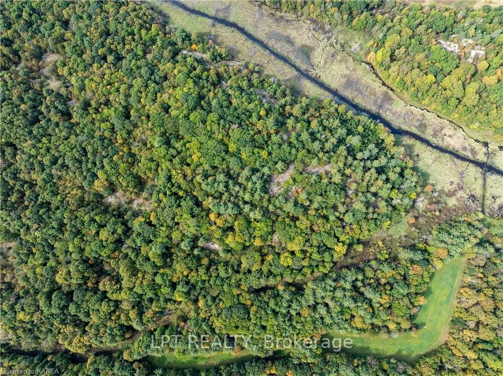 1610 County Road 2 Property Photo 16