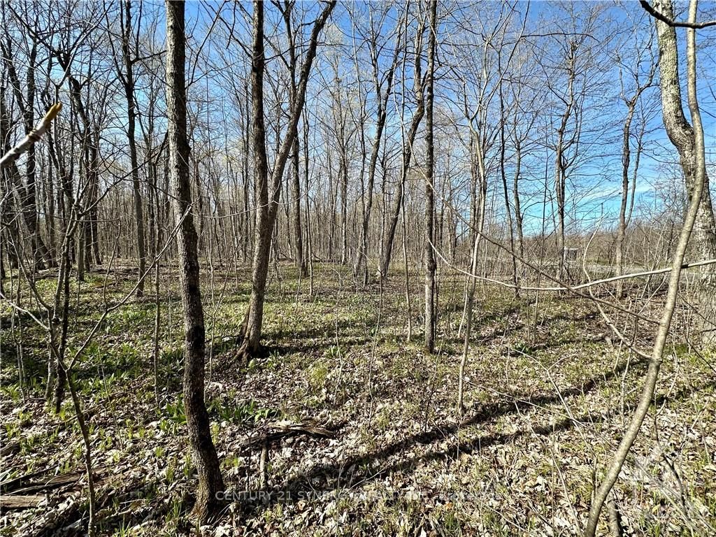 00 Riley Road Property Photo 3