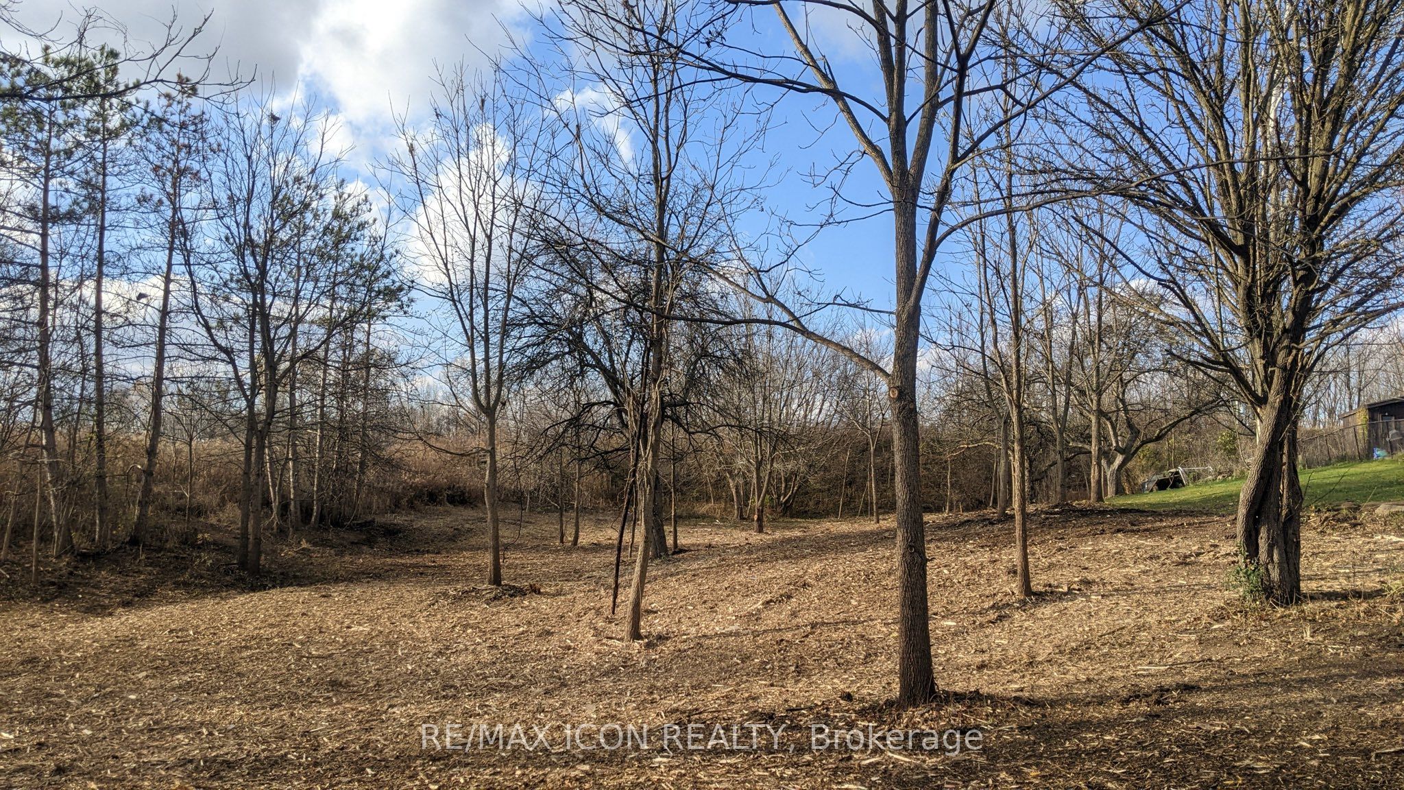 237 Frederick Street Property Photo 2