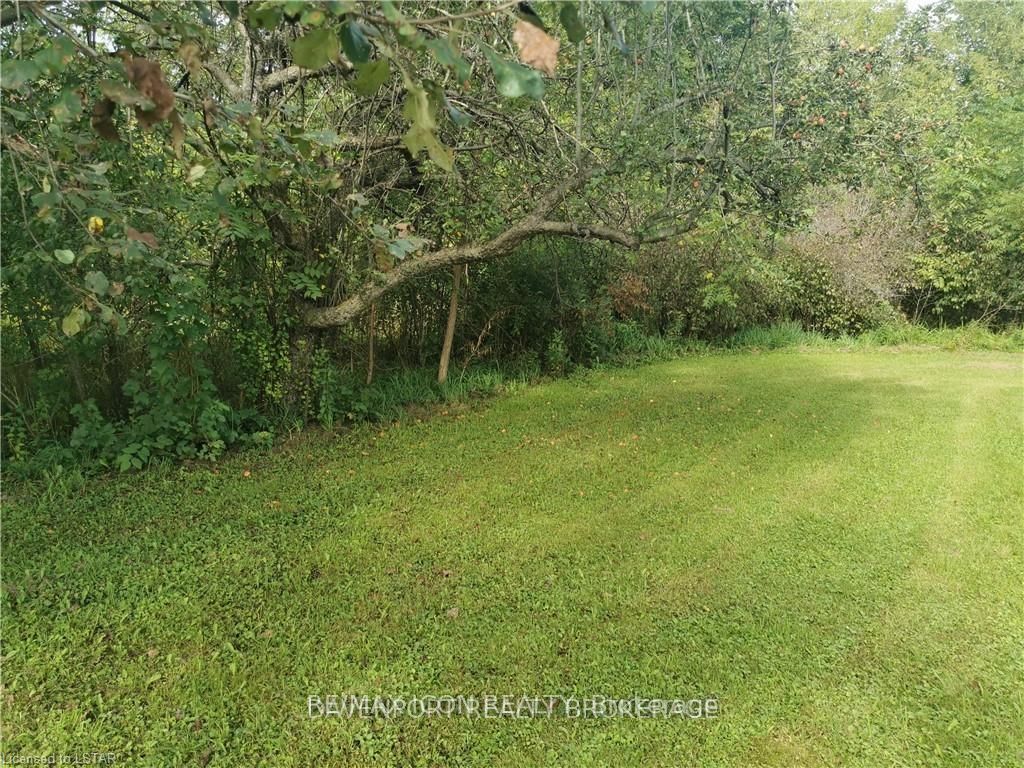 237 Frederick Street Property Photo 8