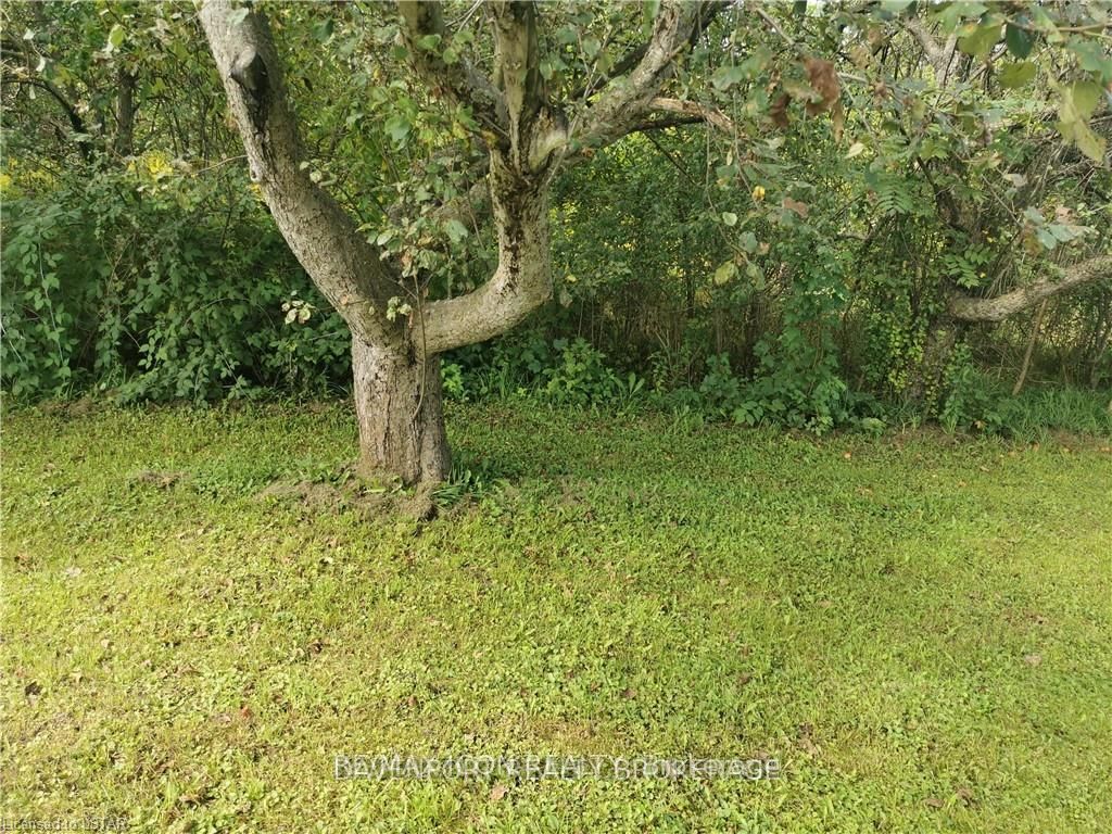 237 Frederick Street Property Photo 10
