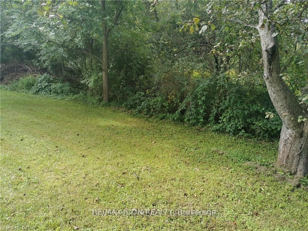 237 Frederick Street Property Photo 11