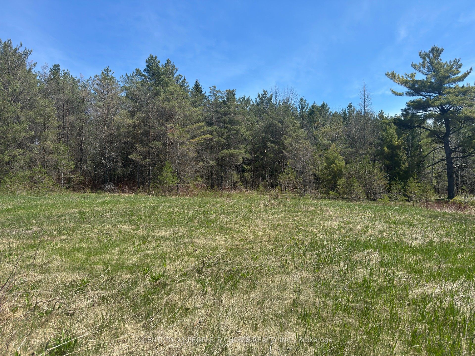 6081 Hwy 89 Property Photo 3