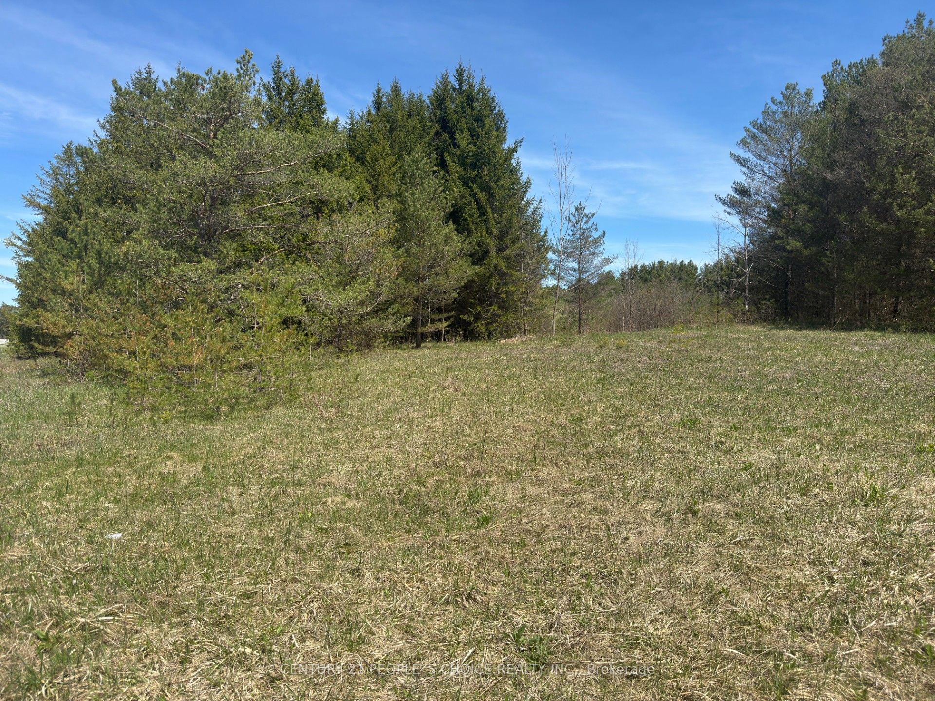 6081 Hwy 89 Property Photo 4