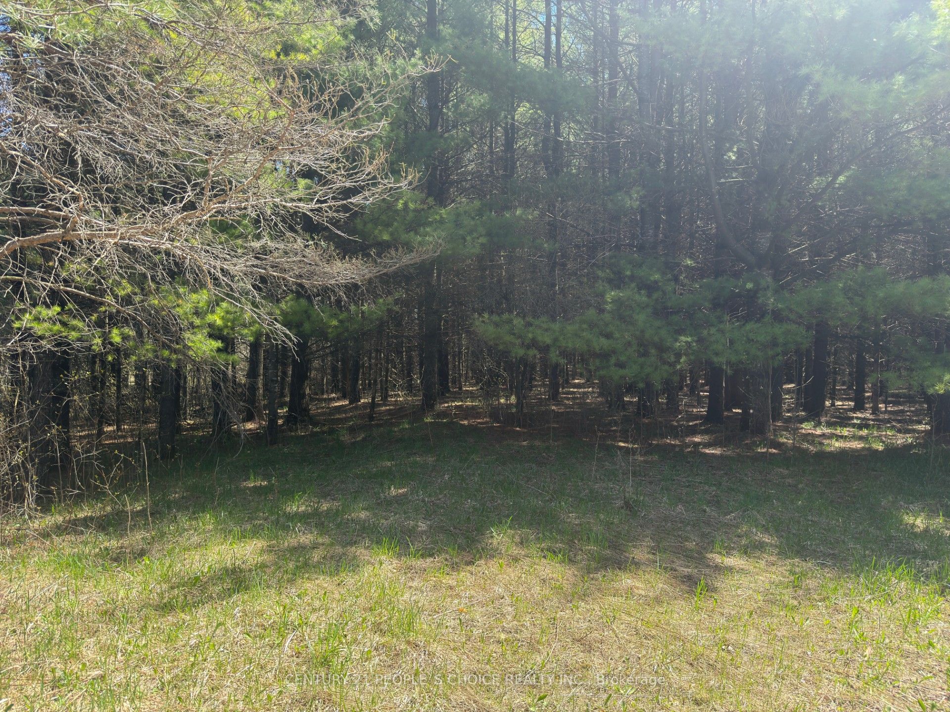 6081 Hwy 89 Property Photo 6