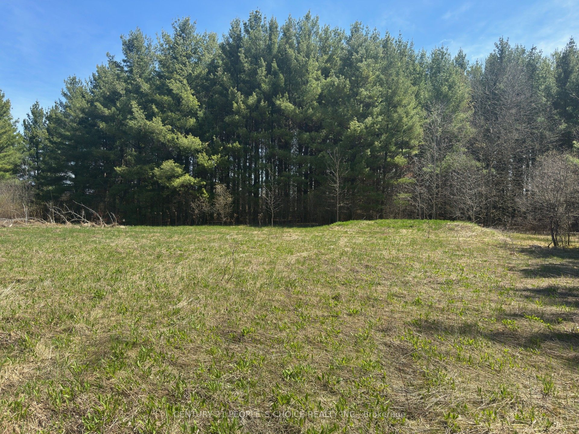 6081 Hwy 89 Property Photo 8