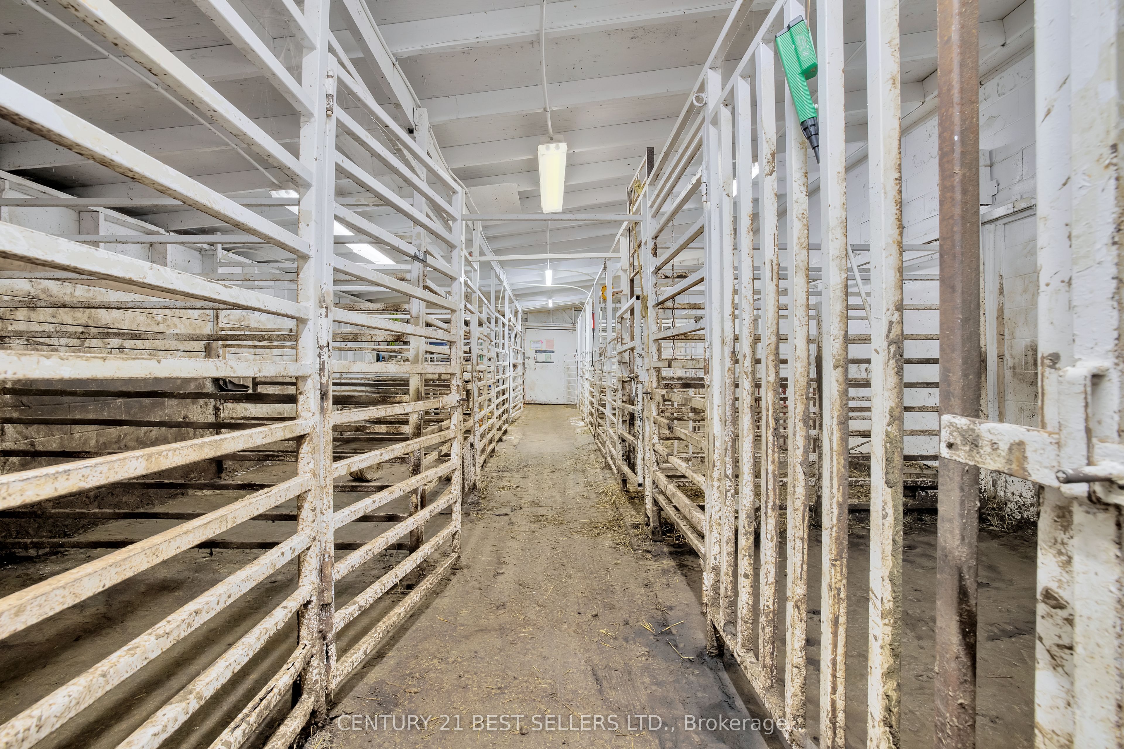 4049 Bonneau Line Property Photo 19