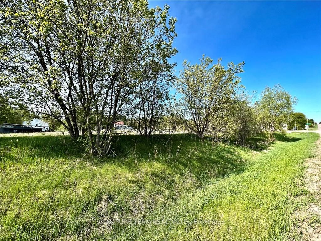 0 Little Elgin Street Property Photo 10