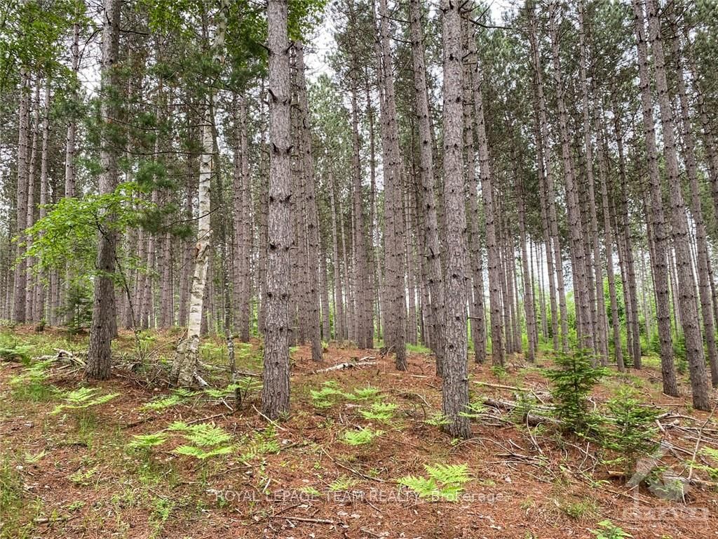 1477 Watsons Corners Road Property Photo 6