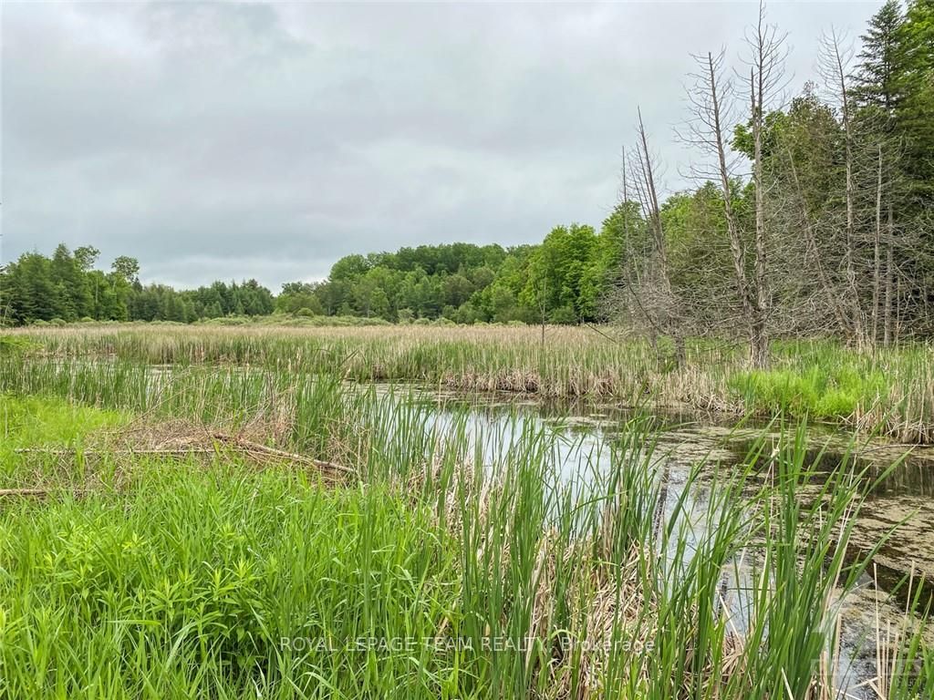 1477 Watsons Corners Road Property Photo 14