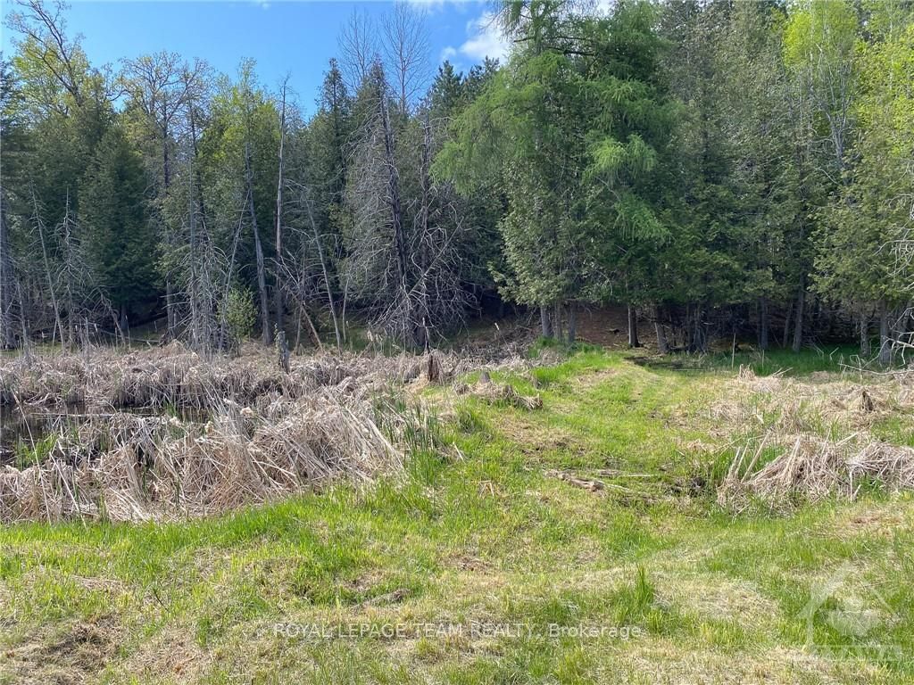 1477 Watsons Corners Road Property Photo 16