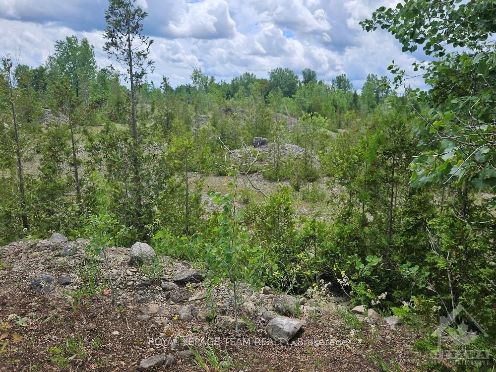 6678 Concession 6 Road Property Photo