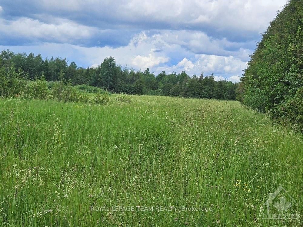 6678 Concession 6 Road Property Photo 4
