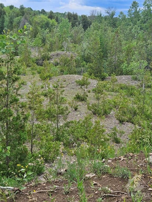 6678 Concession 6 Road Property Photo 5