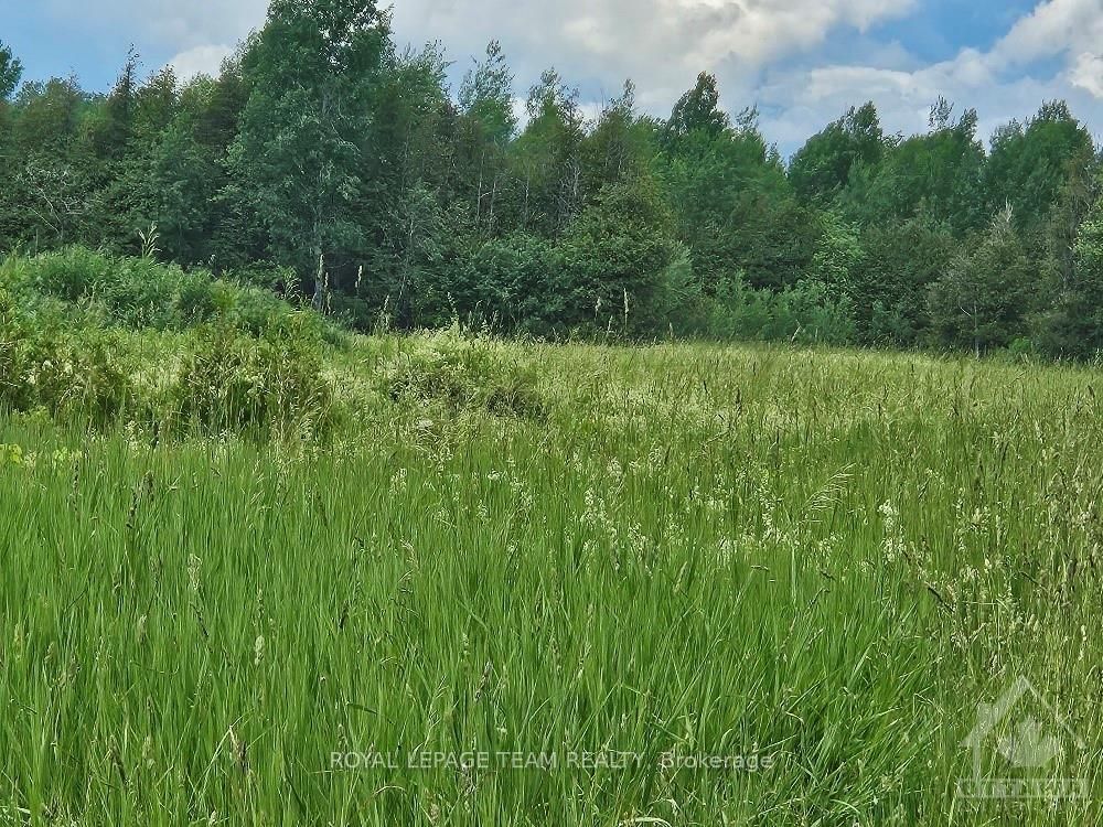 6678 Concession 6 Road Property Photo 6