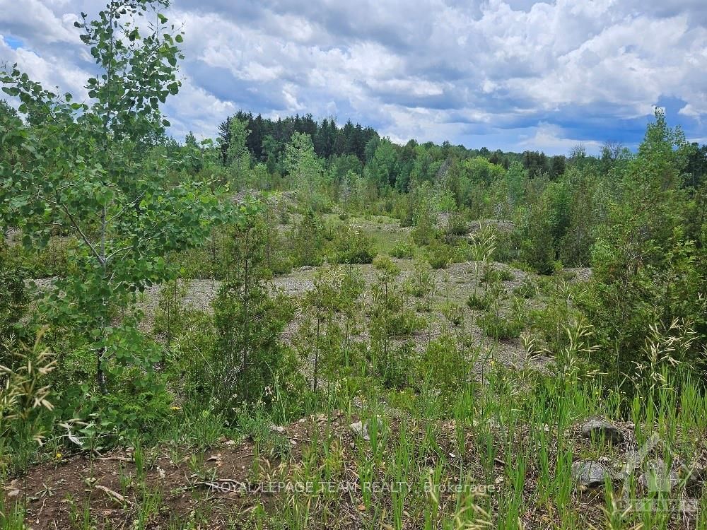 6678 Concession 6 Road Property Photo 7