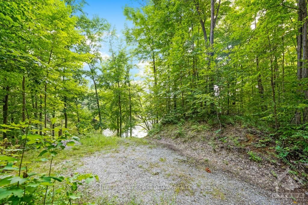 392 Badour Road Property Photo 30