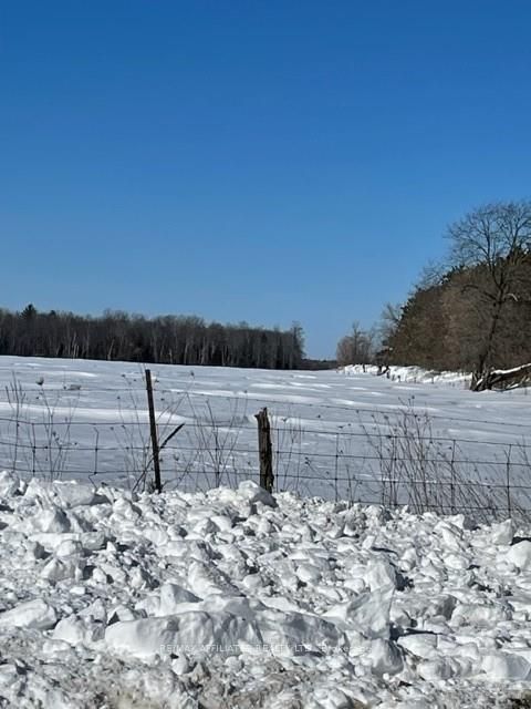 505 Bennett Road Property Photo 9