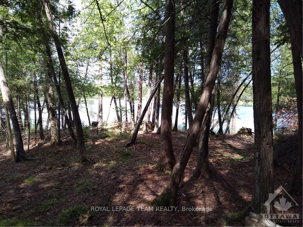 00 Tempo Rd Property Photo 4