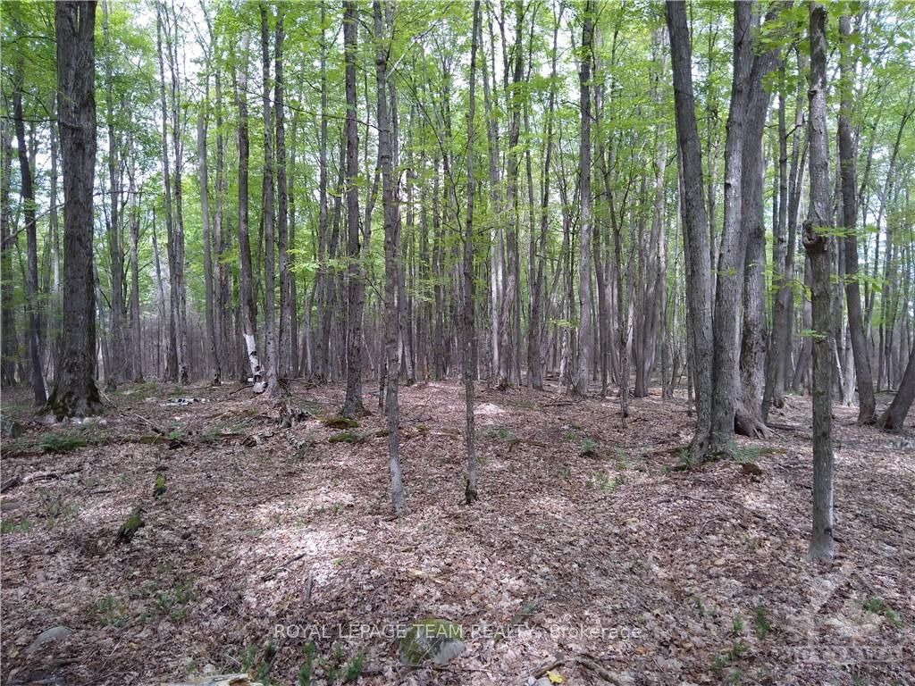 00 Tempo Rd Property Photo 5