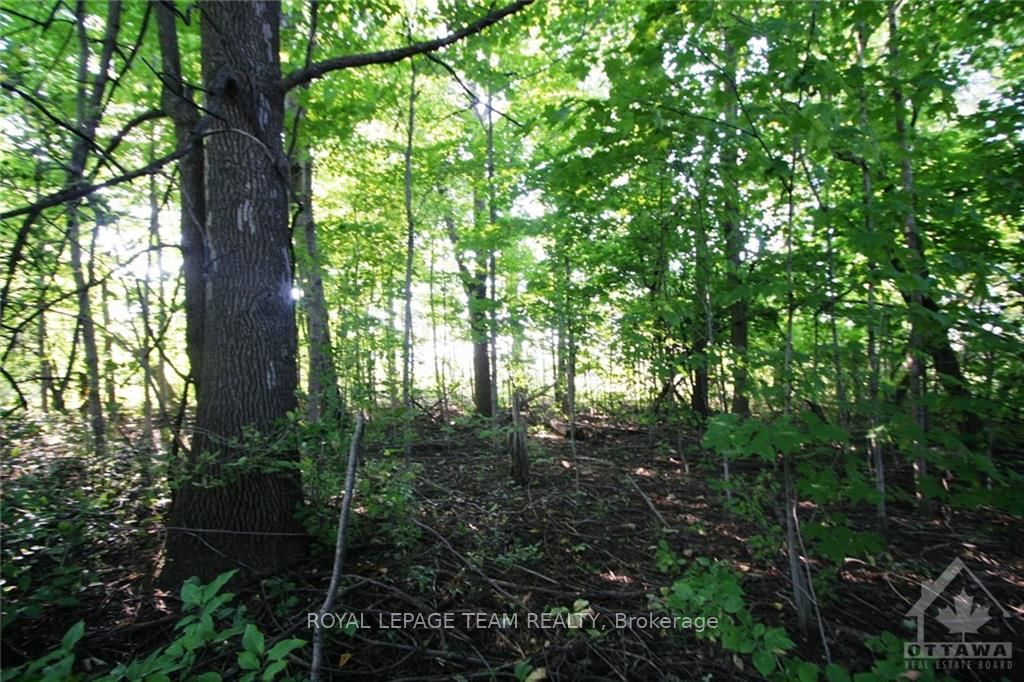 Ptlt31 Pleasant Valley Road Property Photo 7