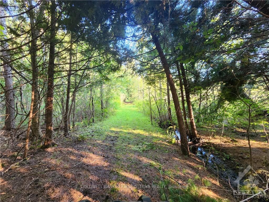 2499 Bathurst Concession 2 Road Property Photo 33