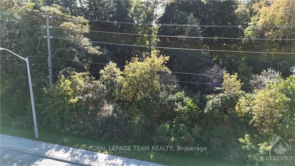 1022 Bridge Street Property Photo 39
