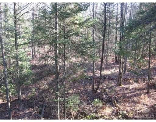 3110 Dunrobin Road Property Photo 3
