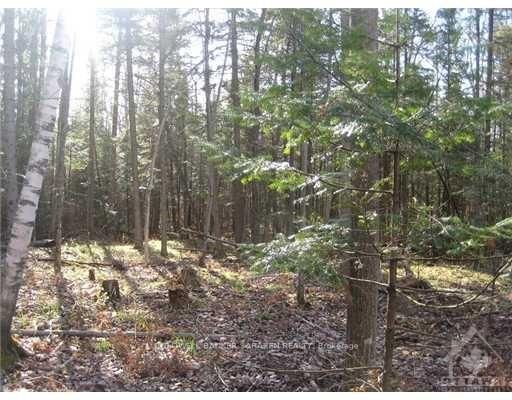 3110 Dunrobin Road Property Photo 5