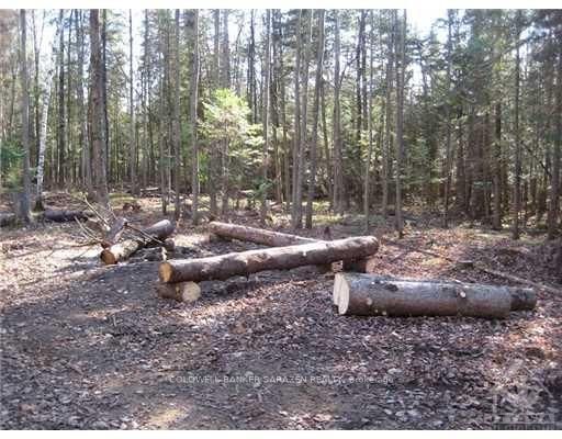 3110 Dunrobin Road Property Photo 6