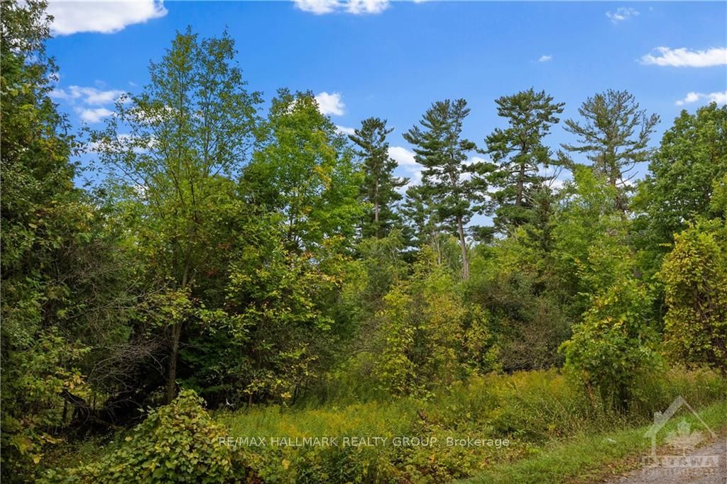 4835 Canon Smith Drive Property Photo 28