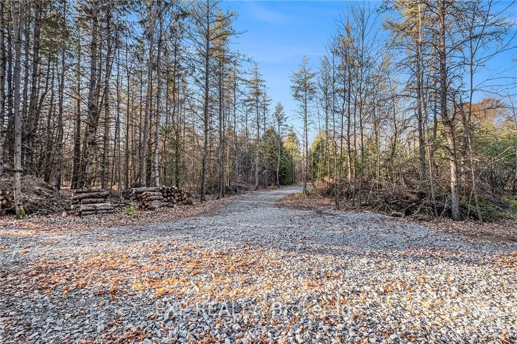 8014 Parkway Rd Property Photo 16