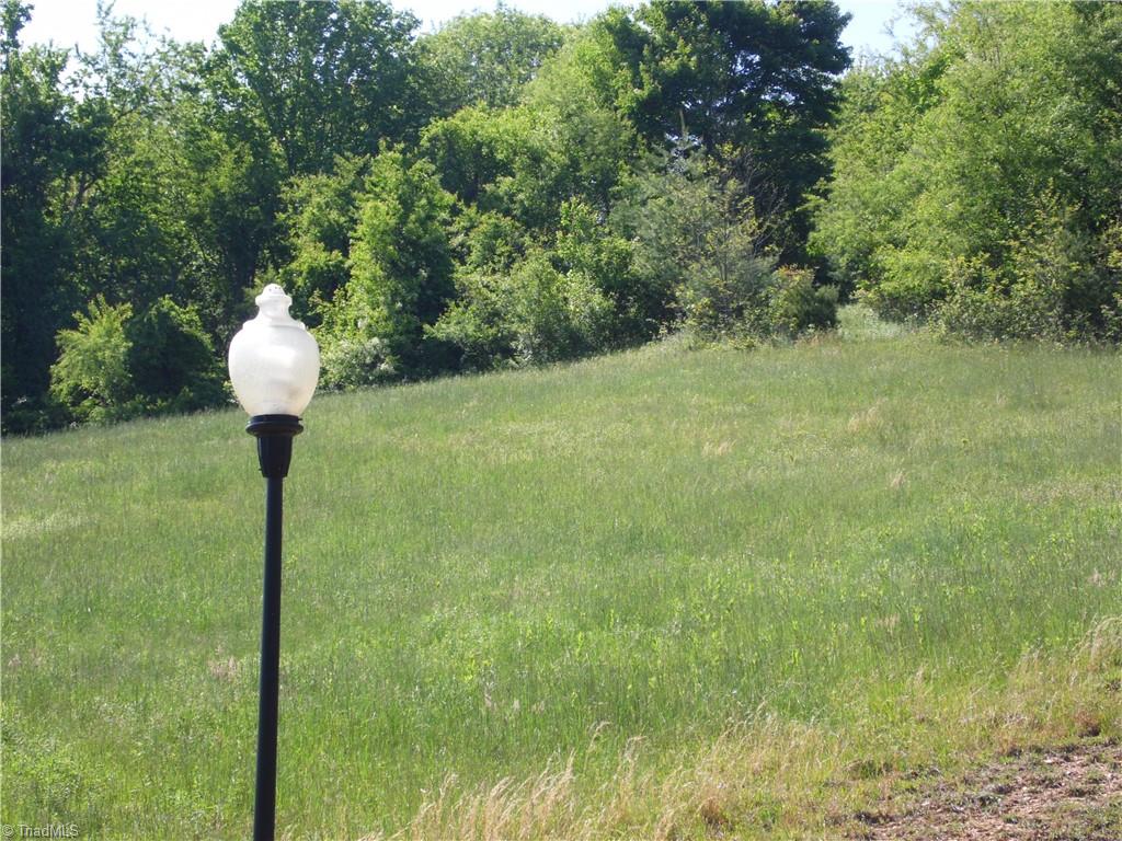 Lot #37 Ridgewood Road Property Photo 6