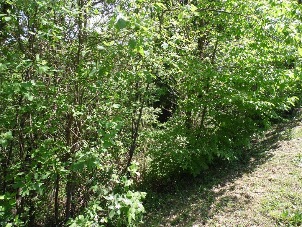 Lot #37 Ridgewood Road Property Photo 8
