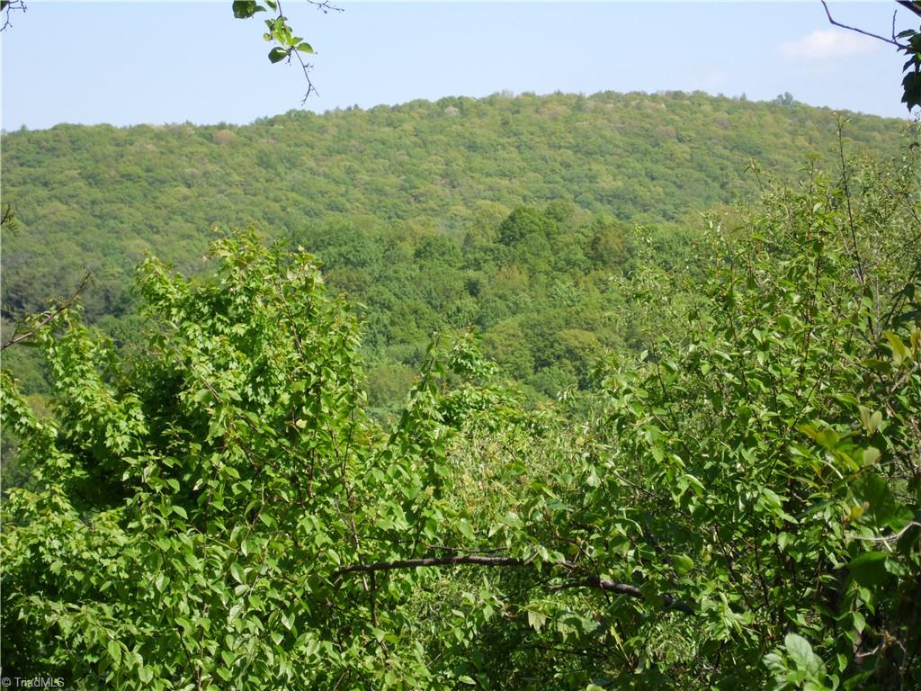 Lot #37 Ridgewood Road Property Photo 10