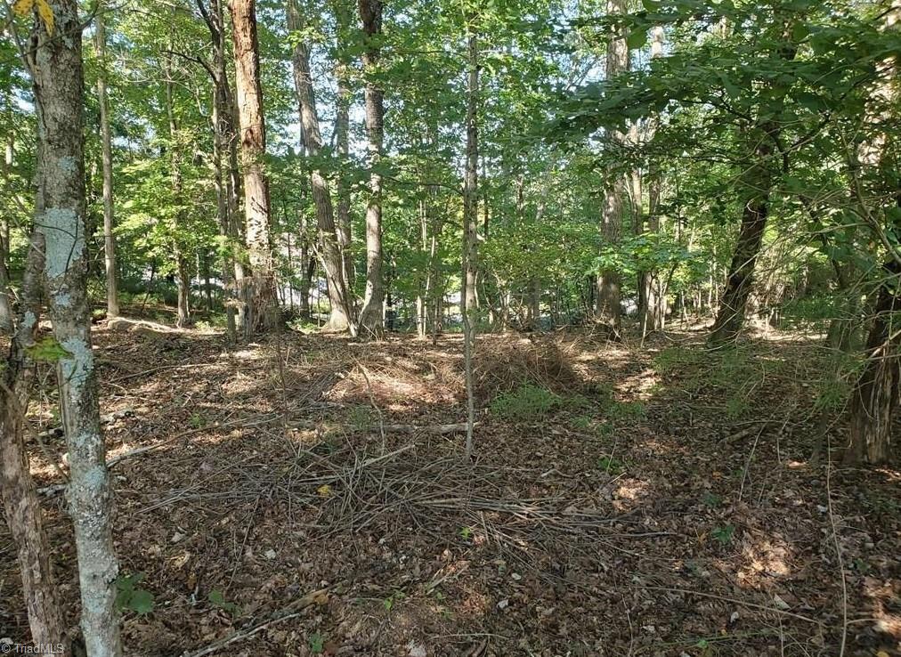 652 Johnson Ridge Road Property Photo 14