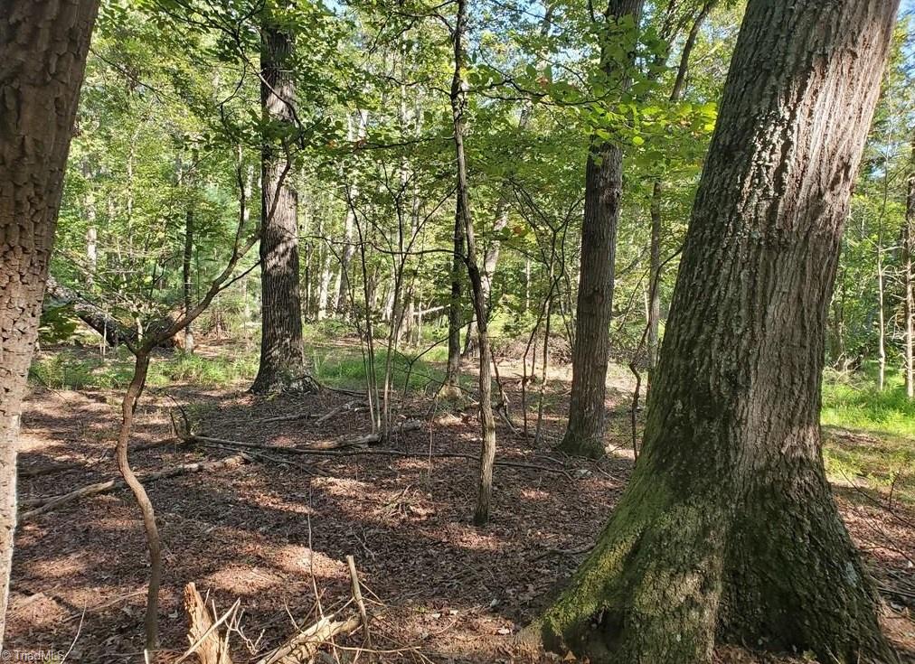 652 Johnson Ridge Road Property Photo 16