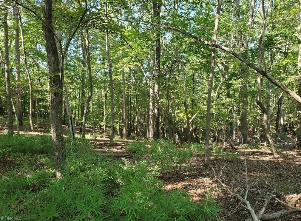 652 Johnson Ridge Road Property Photo 17