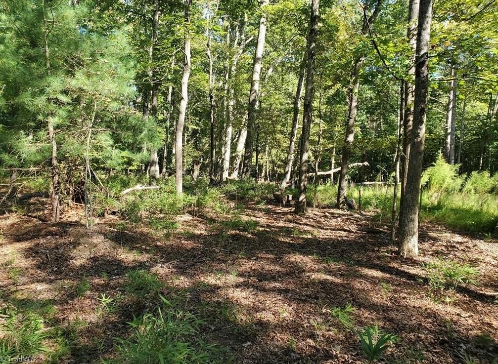 652 Johnson Ridge Road Property Photo 19